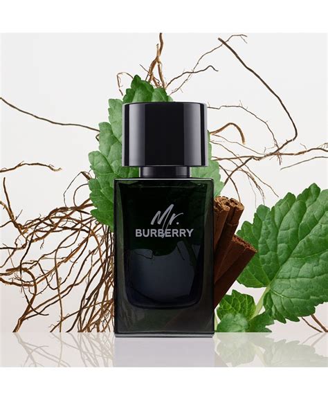 men's mr burberry eau de parfum spray 3.3 oz|mr burberry eau de parfum.